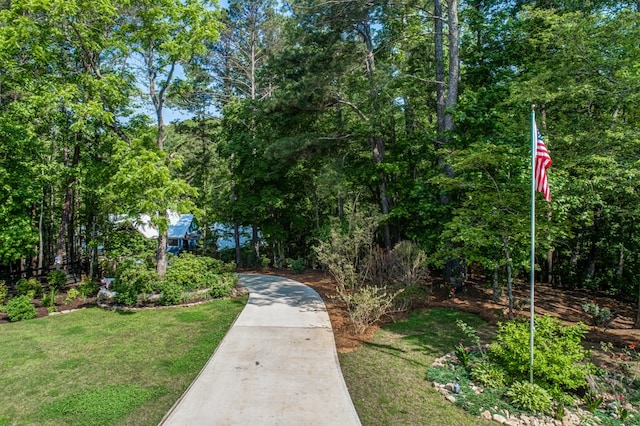 view of home's community with a lawn