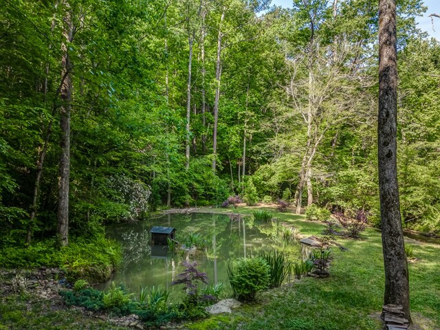 surrounding community featuring a water view