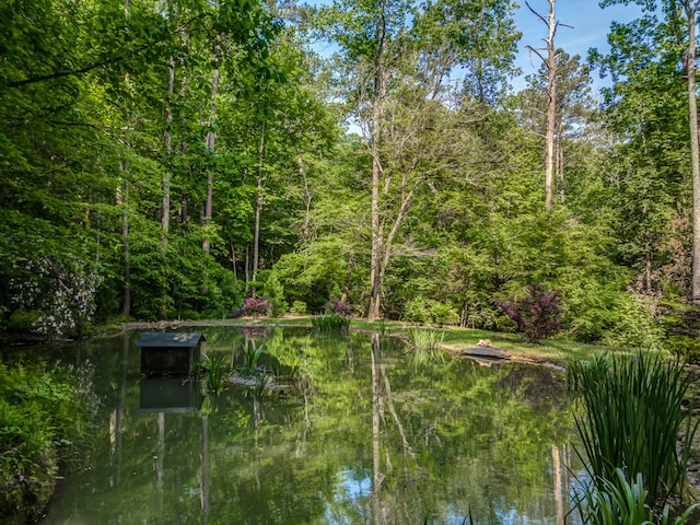 view of water feature