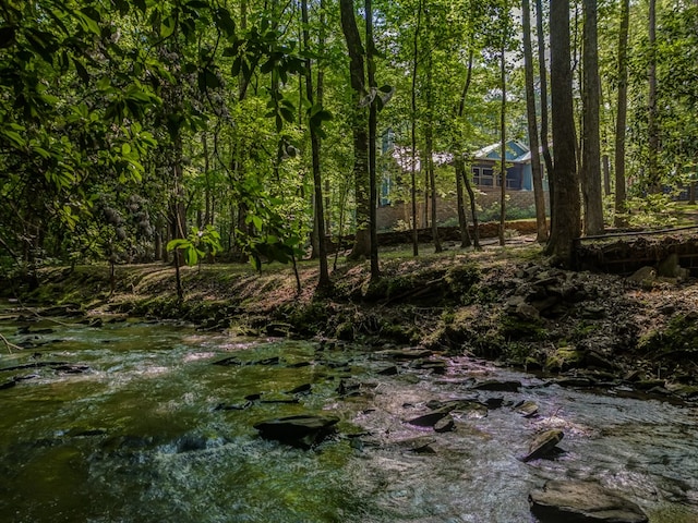 view of local wilderness