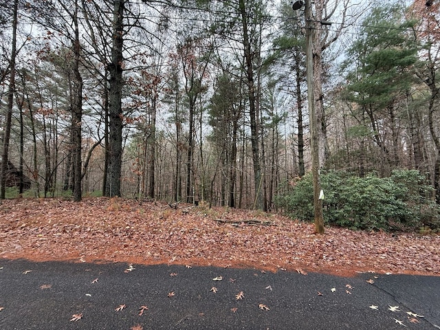 Listing photo 3 for LOT235 Toccoa Ct, Ellijay GA 30540