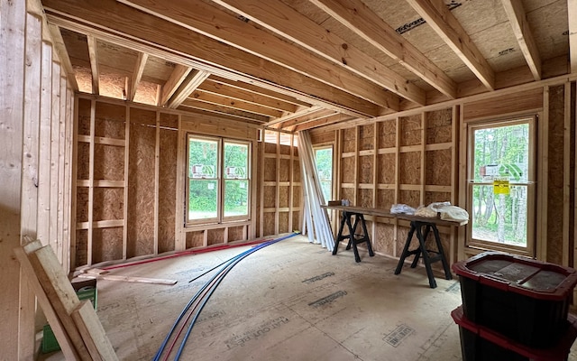 miscellaneous room featuring a wealth of natural light