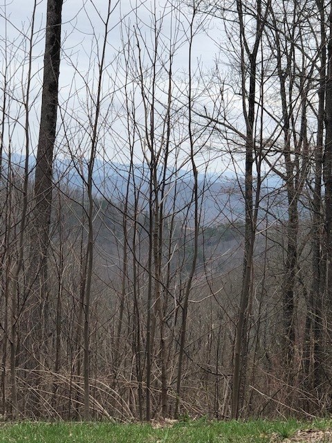 Listing photo 2 for LT281 Andes Rdg, Ellijay GA 30536