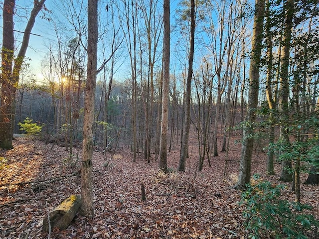 LOT390 Walhalla Ct, Ellijay GA, 30540 land for sale