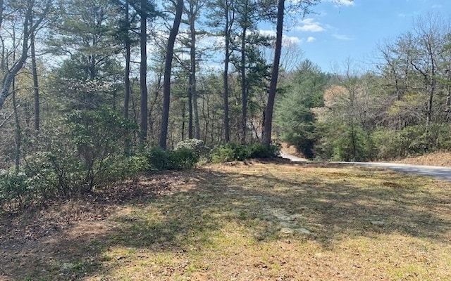 LOT28 Brasstown Trl, Brasstown NC, 28909 land for sale