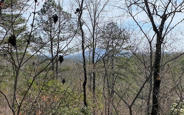 Listing photo 3 for LOT28 Brasstown Trl, Brasstown NC 28909