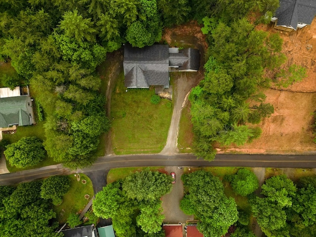 289 12 Point Rd, Blairsville, GA 30512 - drone / aerial view
