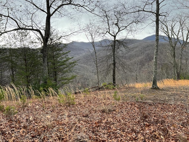 LOT137 Shiloh, Hayesville NC, 28904 land for sale