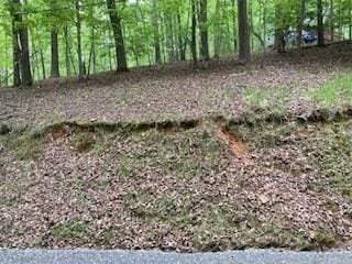 LT694 Echo Ln, Ellijay GA, 30540 land for sale