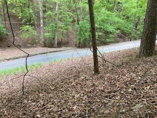 Listing photo 3 for LT694 Echo Ln, Ellijay GA 30540