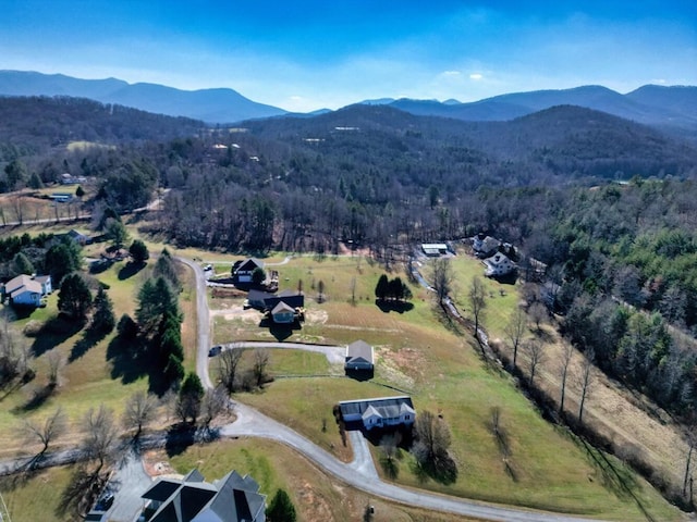 drone / aerial view featuring a mountain view