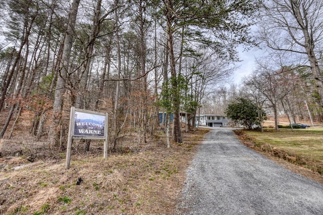 view of street featuring gravel driveway