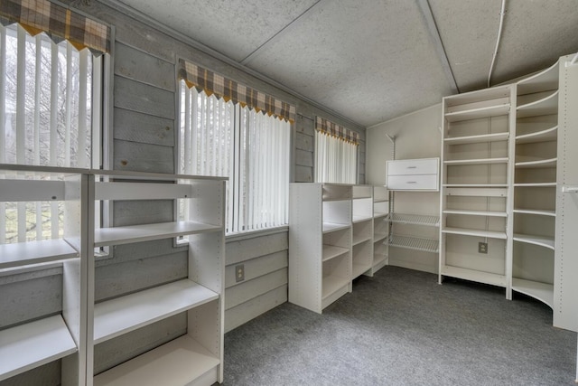 spacious closet featuring carpet flooring and vaulted ceiling