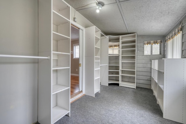 spacious closet with carpet flooring