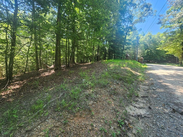 LOT3 Meadow View Dr, Morganton GA, 30560 land for sale