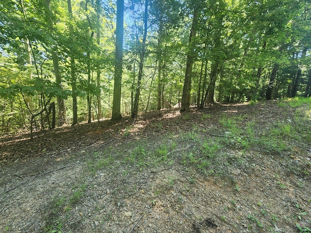 Listing photo 2 for LOT3 Meadow View Dr, Morganton GA 30560