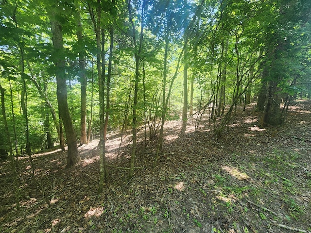 Listing photo 3 for LOT3 Meadow View Dr, Morganton GA 30560