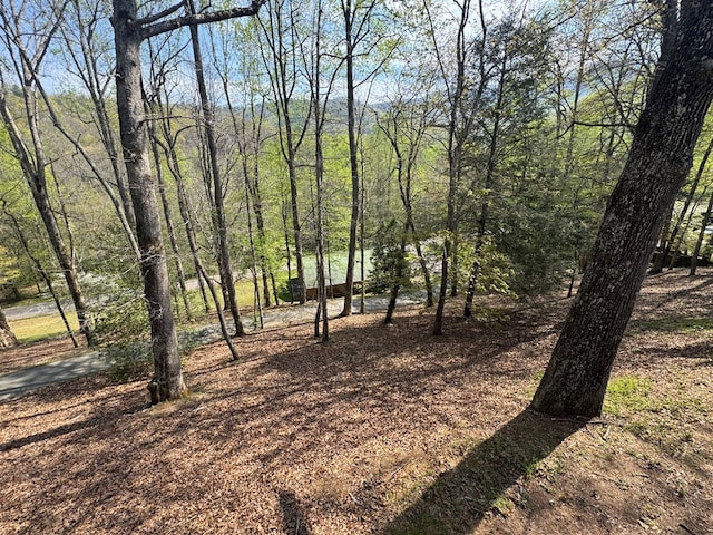 view of nature