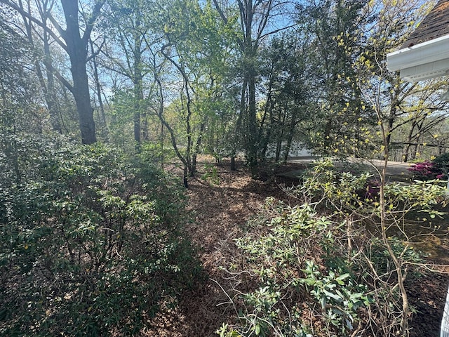 view of landscape