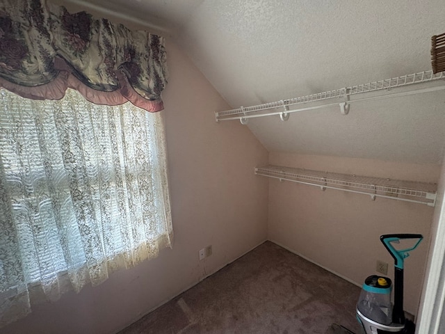 spacious closet with lofted ceiling and carpet floors