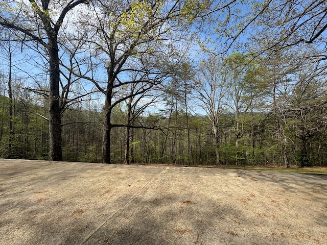 view of local wilderness featuring a view of trees