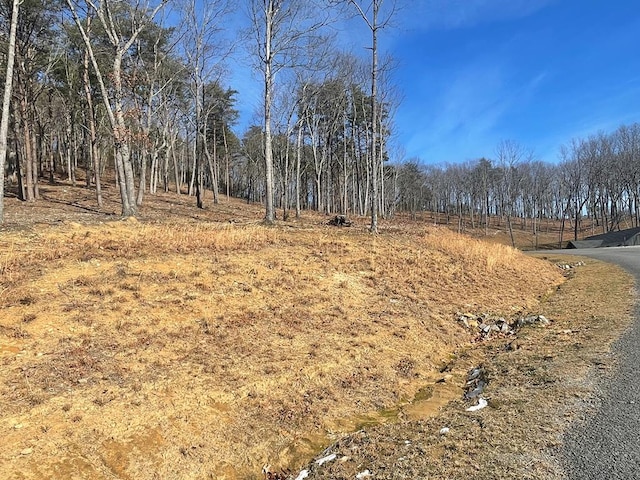 LOT21 High Summit Dr, Talking Rock GA, 30175 land for sale