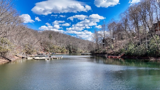 water view with a boat dock and a wooded view