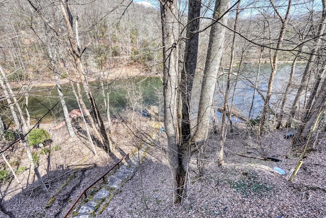 view of local wilderness with a wooded view