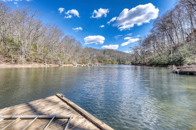 view of dock with a water view and a view of trees