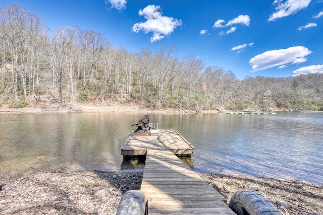 dock area featuring a water view and a wooded view