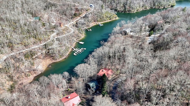 drone / aerial view featuring a forest view and a water view