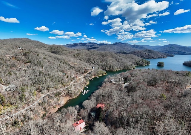 aerial view featuring a forest view and a water and mountain view