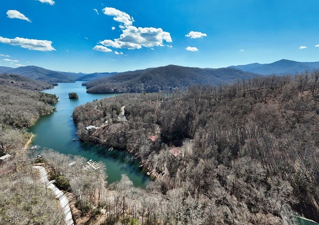 birds eye view of property featuring a water and mountain view and a wooded view