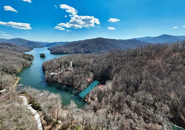 birds eye view of property featuring a forest view and a water and mountain view