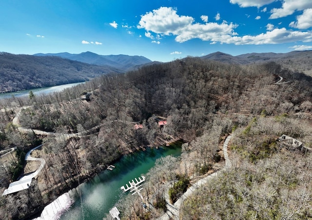 birds eye view of property featuring a view of trees and a water and mountain view