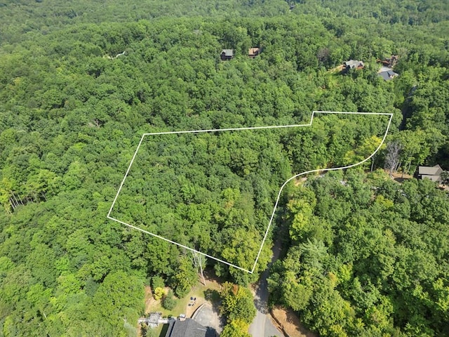 4ACRES Price Rd, Blue Ridge GA, 30513 land for sale