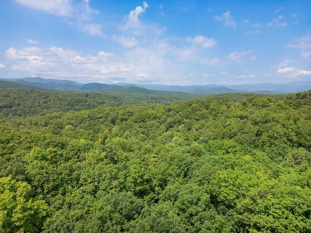 Listing photo 2 for 4ACRES Price Rd, Blue Ridge GA 30513