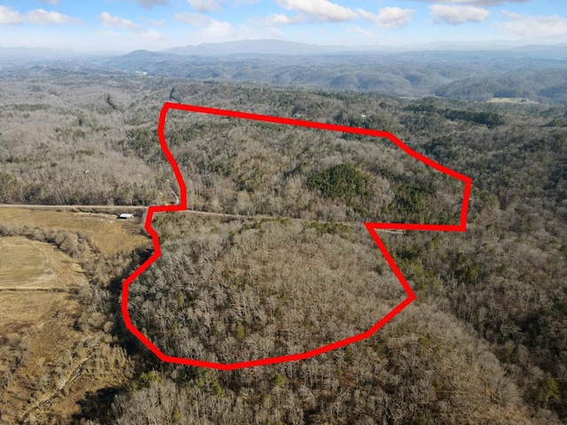 61ACRE Whitestone Rd, Talking Rock GA, 30175 land for sale