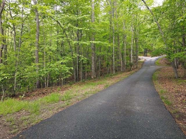 LOTF-1 Bruce Mountain Rd, Morganton, GA 30560
