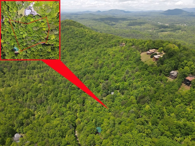 LOTF-1 Bruce Mountain Rd, Morganton, GA 30560