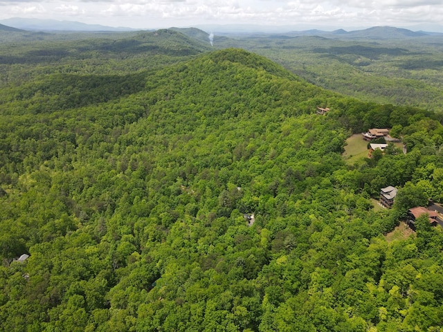 LOTF-1 Bruce Mountain Rd, Morganton, GA 30560