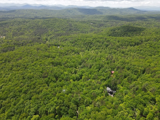 LOTF-1 Bruce Mountain Rd, Morganton, GA 30560