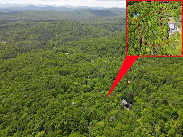 LOTF-1 Bruce Mountain Rd, Morganton, GA 30560