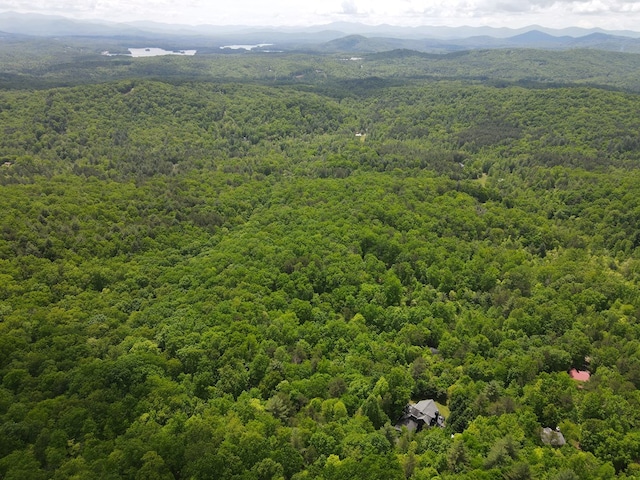 LOTF-1 Bruce Mountain Rd, Morganton, GA 30560