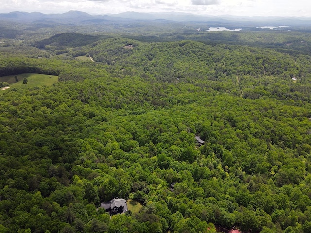 LOTF-1 Bruce Mountain Rd, Morganton, GA 30560