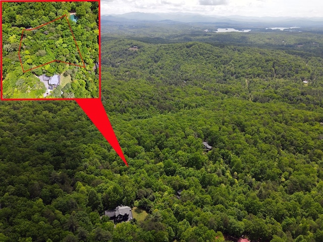 LOTF-1 Bruce Mountain Rd, Morganton, GA 30560
