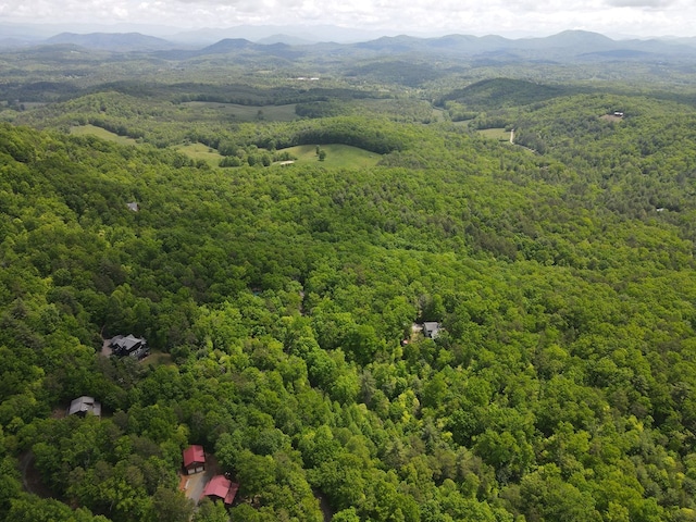 LOTF-1 Bruce Mountain Rd, Morganton, GA 30560