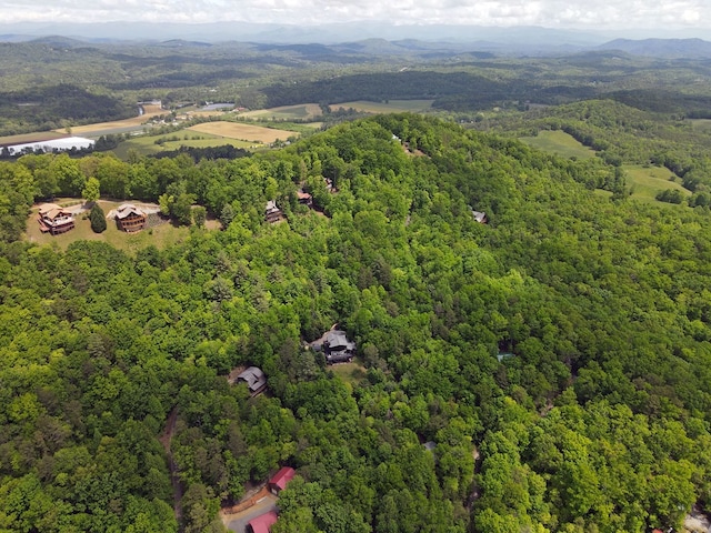 LOTF-1 Bruce Mountain Rd, Morganton, GA 30560