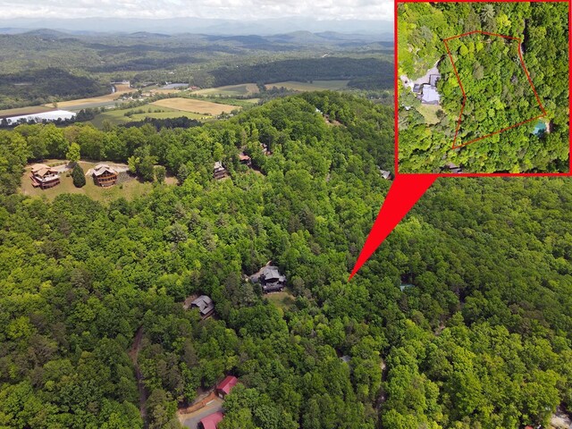 LOTF-1 Bruce Mountain Rd, Morganton, GA 30560