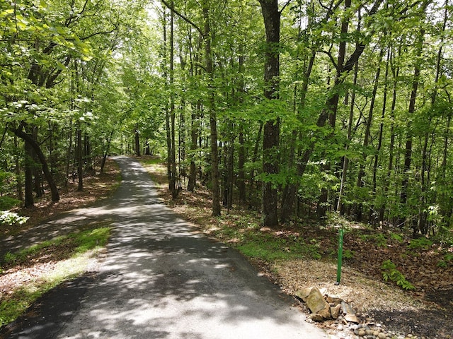 LOTF-1 Bruce Mountain Rd, Morganton, GA 30560